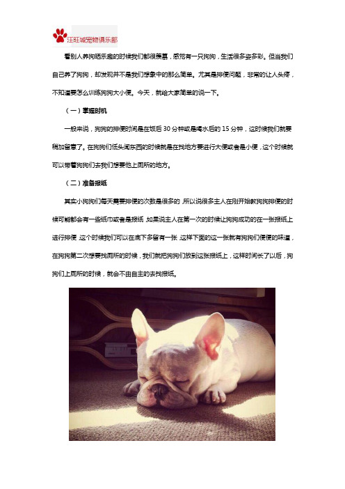 怎么训练狗狗自己大小便？