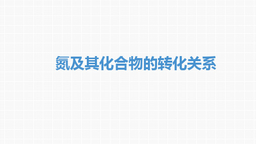 氮及其化合物的转化关系-高考化学复习