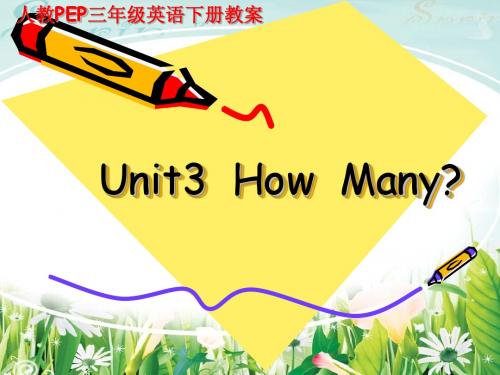 人教版小学英语三年级下册Unit 3 How ManyPPT课件八