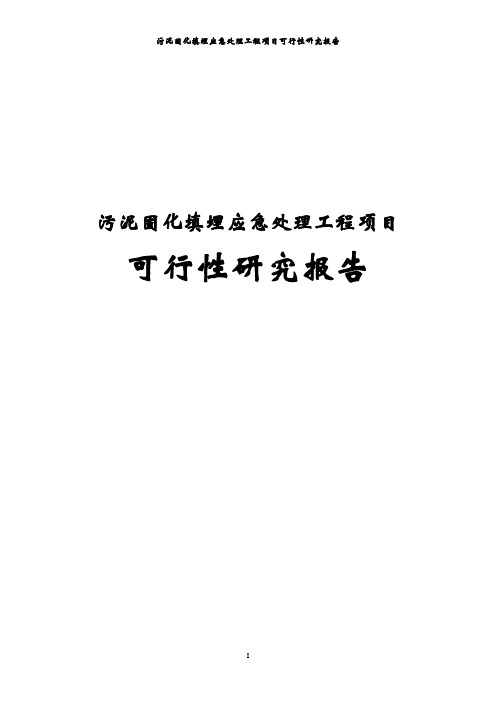 污泥固化填埋应急处理工程项目可行性研究报告