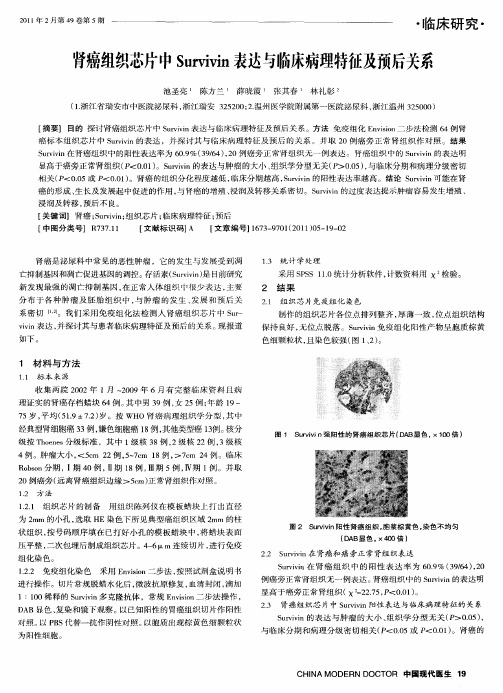 肾癌组织芯片中Survivin表达与临床病理特征及预后关系