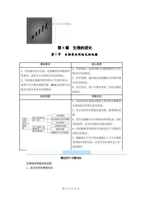 高中生物人教版(2019)必修2第6章第1节生物有共同祖先的证据学案