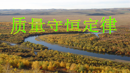 科粤版初中化学九年级上册 4.3 质量守恒定律 课件 (1)