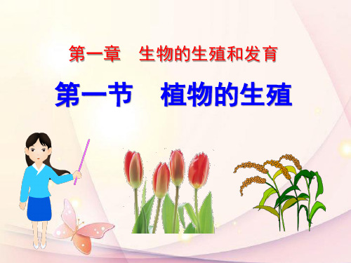 《植物的生殖》生物的生殖和发育PPT课件