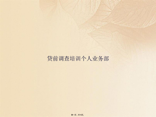 贷前调查培训个人业务部(共16张PPT)