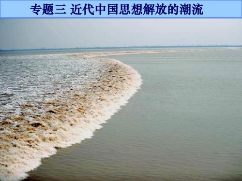 专题三+近代中国思想解放的潮流