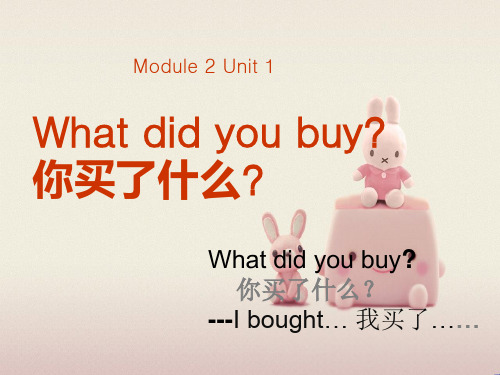 2022年外研五上M2U1 What did you buy？？课件