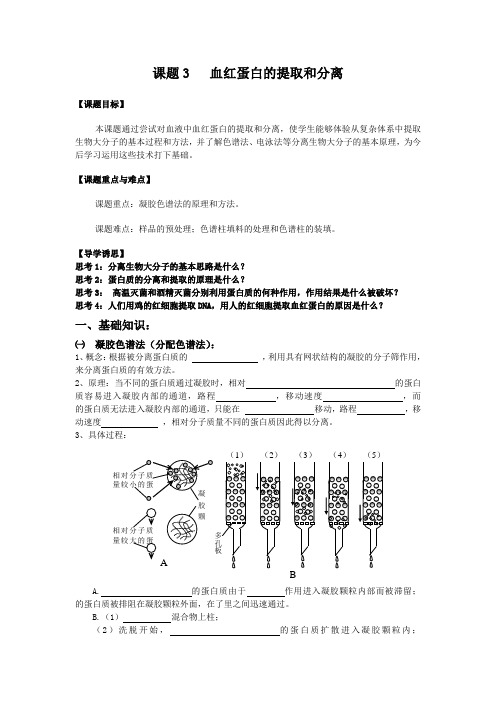 高二生物血红蛋白的提取和分离