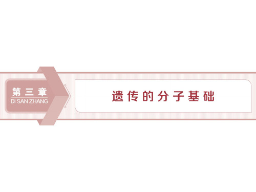 2019-2020学年新浙科版必修2 第三章 第一节 核酸是遗传物质 课件(54张)