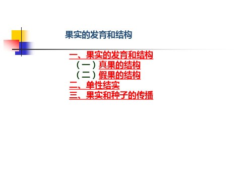 常缨植物学 第七章 果实