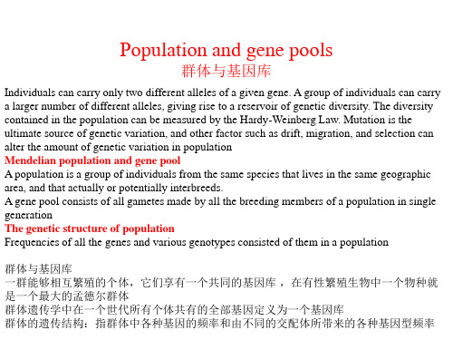 群体遗传学PPT课件