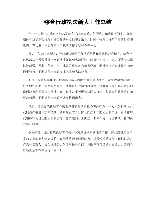 综合行政执法新人工作总结