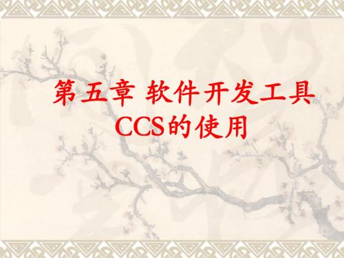 CCS使用