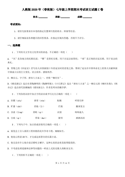 人教版2020年(春秋版)七年级上学期期末考试语文试题C卷