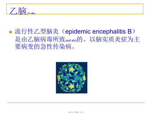 医学专题乙脑和流脑