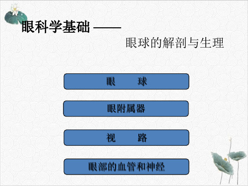 眼的组织解剖与生理分析PPT.