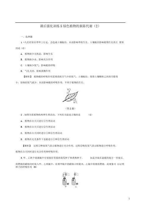 中考科学课后强化训练5绿色植物的新陈代谢2含解析2