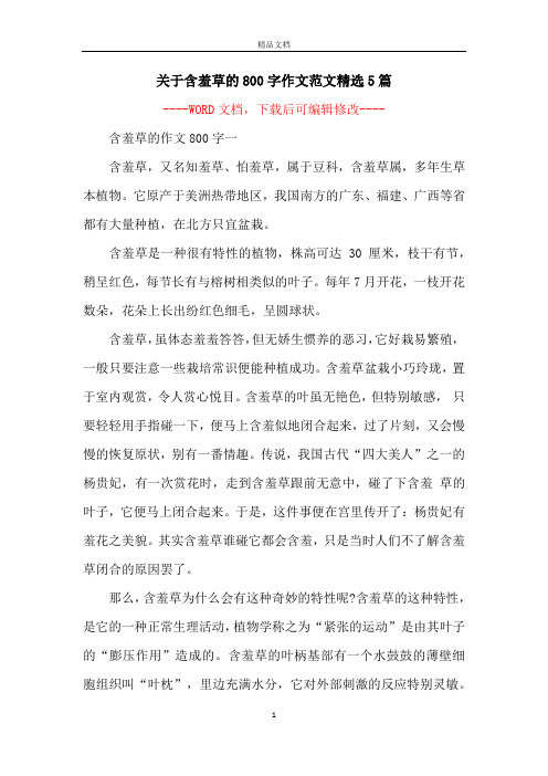 关于含羞草的800字作文范文精选5篇