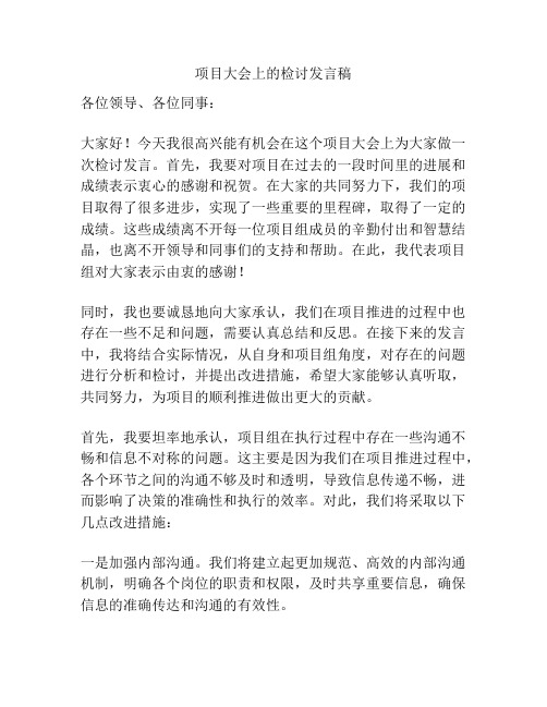 项目大会上的检讨发言稿