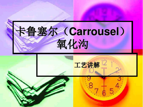 卡鲁塞尔(Carrousel)氧化沟