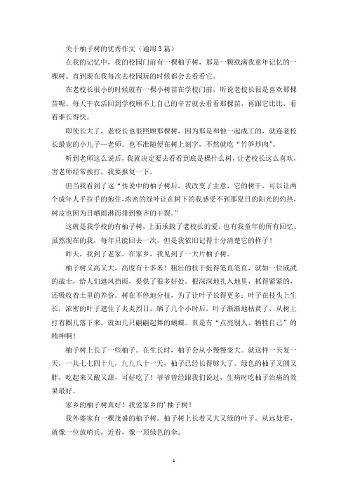 关于柚子树的优秀作文(通用3篇最新)