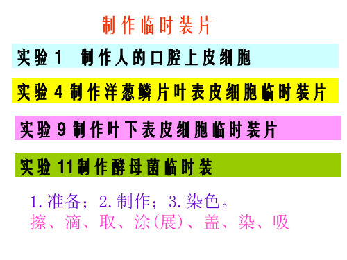 2017年河南省中招实验操作考试精编课件