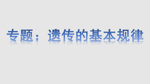 专题：遗传的基本规律