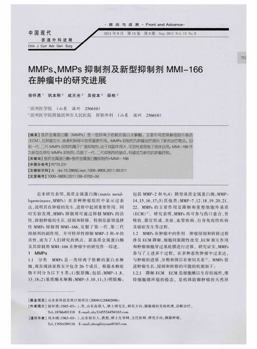 MMPs、MMPs抑制剂及新型抑制剂MMI-166在肿瘤中的研究进展