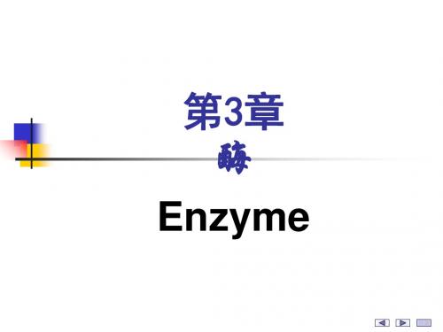 第03章酶enzyme-PPT课件