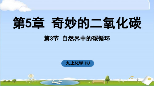 2024年新沪教版九年级上册化学课件 第5章 奇妙的二氧化碳第3节 自然界中的碳循环