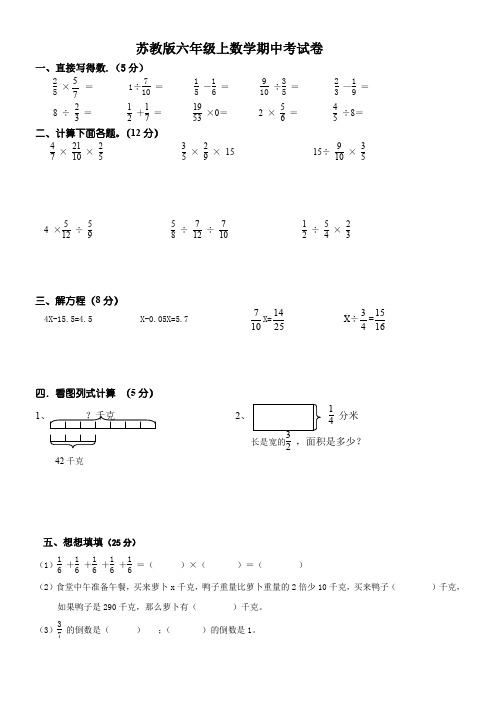 六年级上数学期中考试试卷苏教版(含答案)