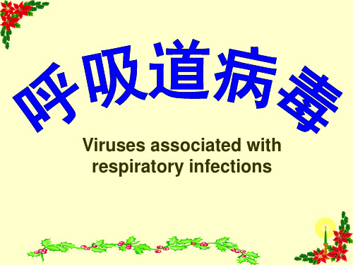 呼吸道病毒——微生物课件PPT