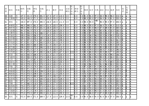 2011年中考成绩