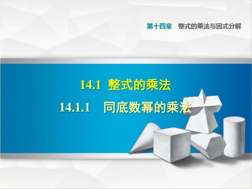 部编人教版八年级数学上册14.1整式的乘法(课件)【新版】