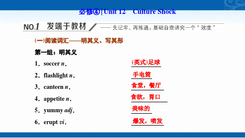 2022高三英语北师大版复习课件-Unit-12-Culture-Shock