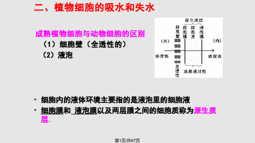 高一生物必修一复习课件PPT课件