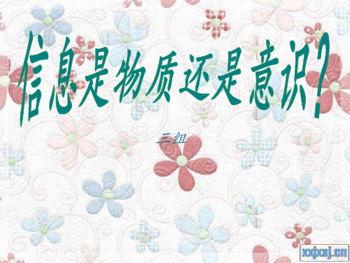 马哲讨论报告--论信息是物质还是意识