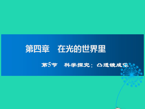 八年级物理上册第4章在光的世界里第5节科学探究：凸透镜成像教学课件新版教科版