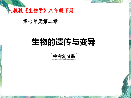 生物复习 《生物的遗传和变异》复习课优质课件 含近两年中考真题