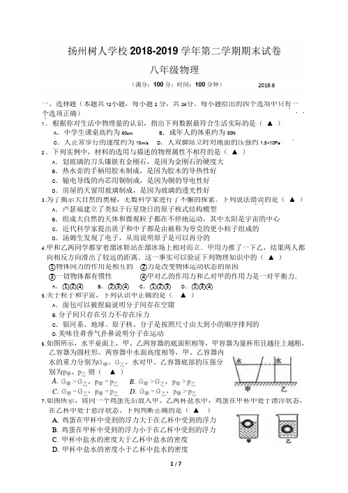 江苏省扬州树人学校2018-2019学年八年级下学期期末考试物理试题