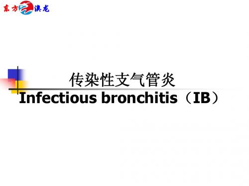 传染性支气管炎