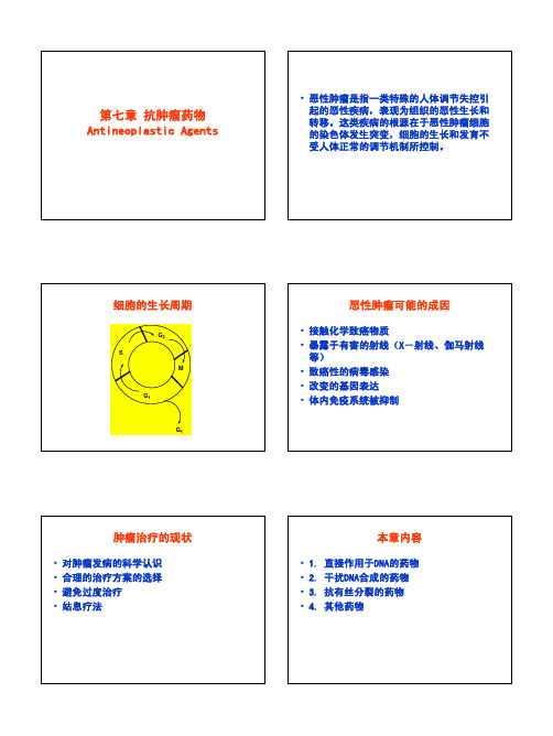 第七章 抗肿瘤药物(XS)