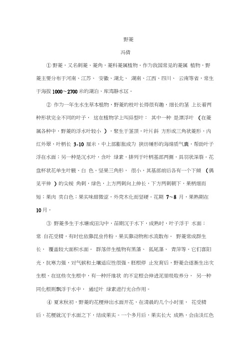 《野菱》阅读练习及答案