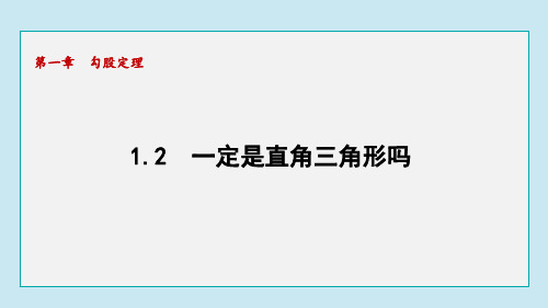 1.2 一定是直角三角形吗(课件)2024-2025学年北师大版数学八年级上册