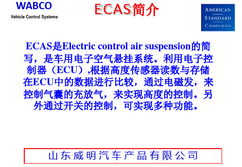 ECAS(车用电子空气悬挂系统)技术条件-02版