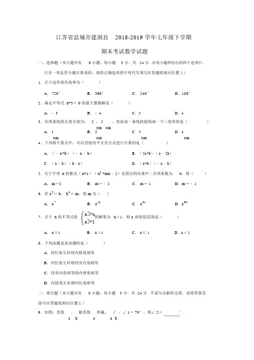 江苏省盐城市建湖县2018-2019学年七年级下学期期末考试数学试题(解析版)