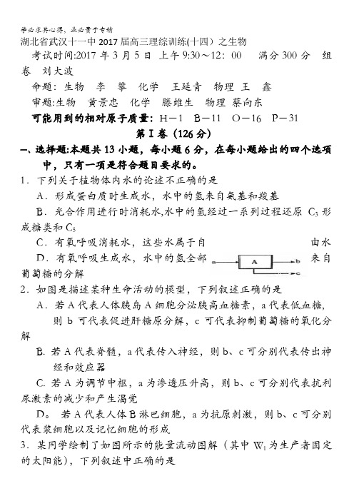 湖北省武汉十一中2017届高三理综训练(14)生物试题含答案