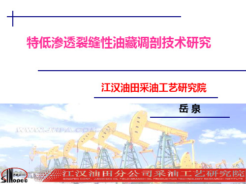 岳泉---特低渗透裂缝性油藏调剖技术研究--江汉油田采油工艺研究院