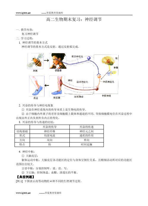 高二生物期末复习：神经调节