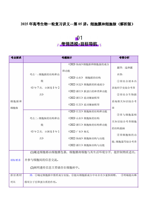 2025年高考生物一轮复习讲义—第05讲:细胞膜和细胞核(解析版)